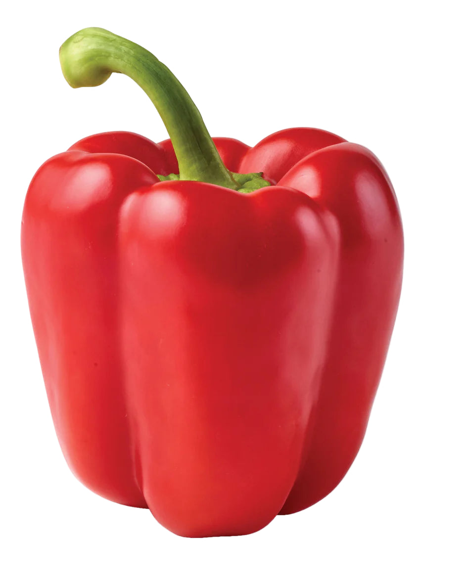 Fresh Red Bell Pepper 5kg