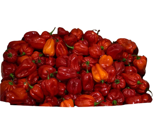 Fresh Hot Pepper – Scotch Bonnet – Rodo (4kg – 5kg Box)