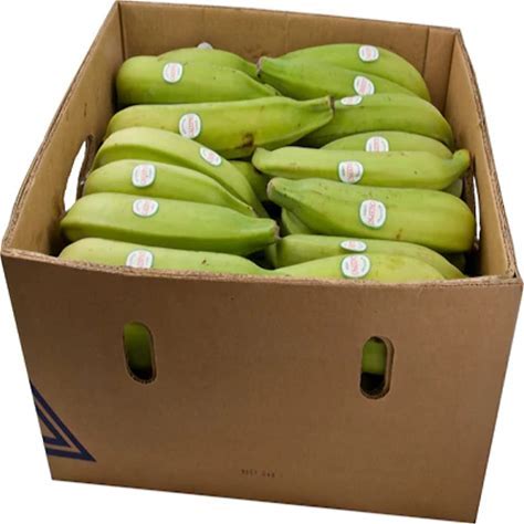 Fresh Green Plantain | Unripe Plantain Box