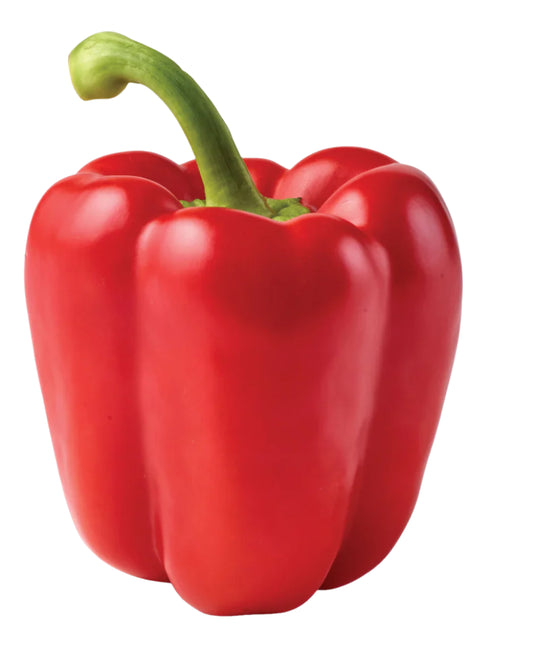 Tatashe – Nigeria’s Red Bell Pepper