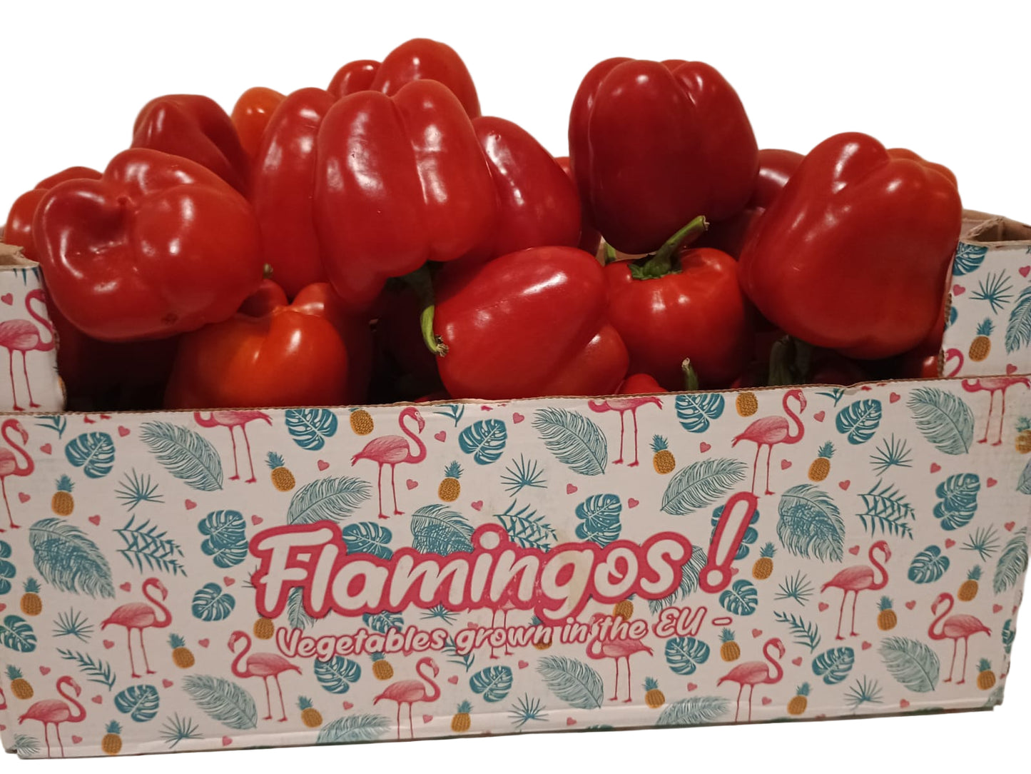 Fresh Red Bell Pepper 5kg