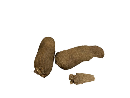 Fresh White Yam