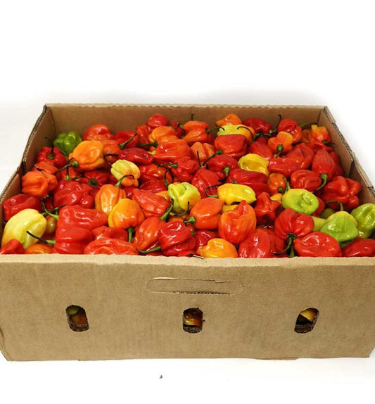 UGANDA (EXTRA HOT PEPPER 4KG BOX)